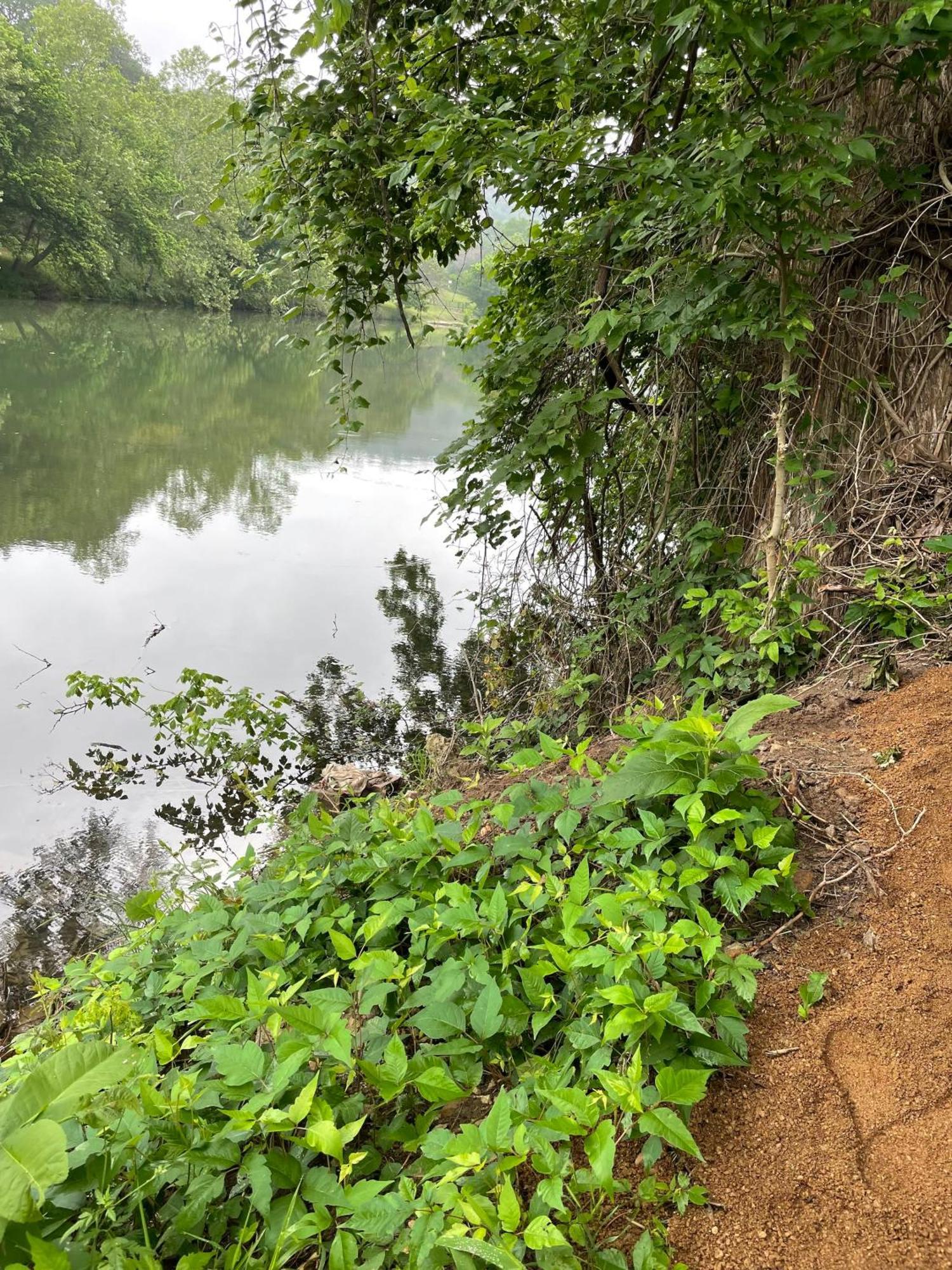 Rv Located On Private Property, Providing Access To The Guadalupe River, Accommodates Up To 5 Guests ニューブラウンフェルズ エクステリア 写真